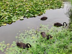 -江南大学(蠡湖校区)