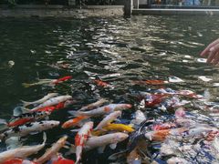 -Waterfall瀑布湾优健源(华侨城店)