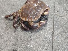 -聚德福海鲜家常菜(刘庄店)