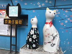 -猫咪博物馆(顶澳仔猫街店)