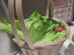 -聚汇坊椰子鸡·山野菌(环市东店)