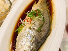 -京华烟云·北京烤鸭(领展购物广场·中关村店)