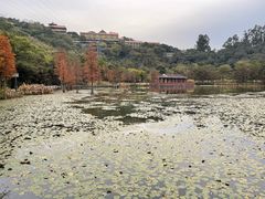 -顺峰山公园