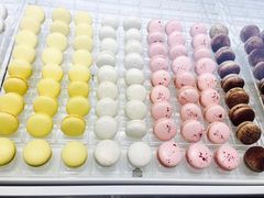 -BLACKSWAN黑天鹅(环球店)