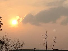 -秀丽东方