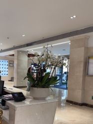 -深圳阳光医疗美容医院·旗舰店
