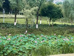 -沐仙湖湿地公园