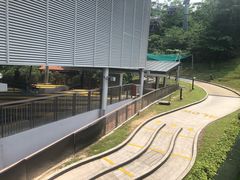 -圣淘沙天际线斜坡滑车