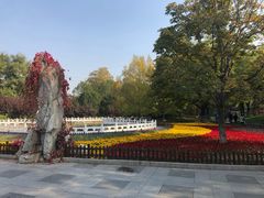 -丰台花园