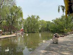 -洛阳市隋唐城遗址植物园