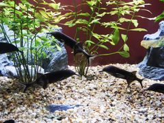 -上海海洋水族馆