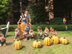 -张坝桂圆林公园