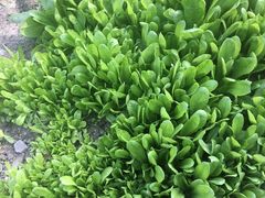 -乡乐园蟹庄·阳澄湖农家乐