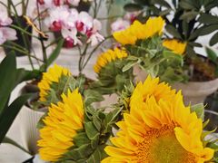 -淘花源花艺鲜花店 开业花篮 绿植(南部商务区店)