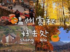 -林坑古村落
