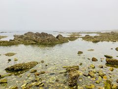 -海岛日记(养马岛店)