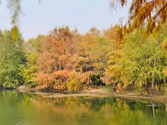 -上海海湾国家森林公园