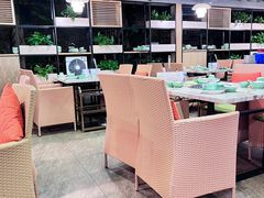 露天位-四季合味椰子鸡(南山大冲店)