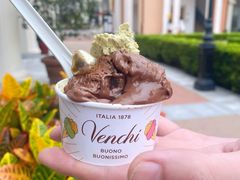 意大利手工冰淇淋-VENCHI 闻绮(上海佛罗伦萨小镇店)