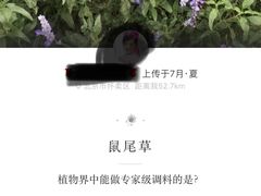 -北京东方普罗旺斯薰衣草庄园