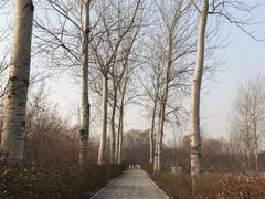 -济南植物园