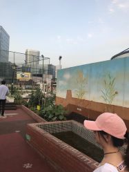 -梦田都市农场(银泰城店)