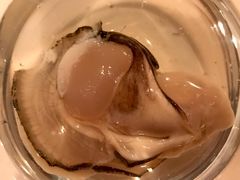 生蚝-斯普汇生蚝牛排馆(中骏世界城店)