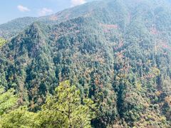 -苍山感通索道