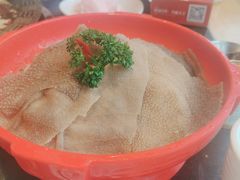 -一斗火锅·招财羊毛肚(北温泉九号店)