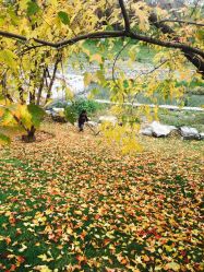 -大望京儿童游乐场