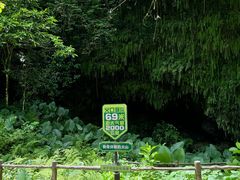 -海口火山口国家地质公园