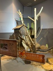 -未来动物城动物主题公园(大悦城店)