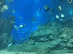 -福州罗源湾海洋世界旅游区