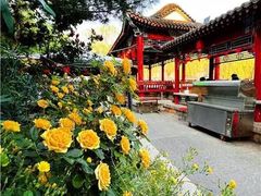 -尚庄度假村·庭台树下·户外烧烤·团建CS·轰趴营地(上庄水库店)