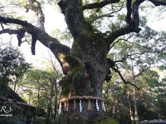 -热田神宫