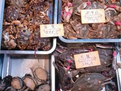 iphone_upload_pic-春华海鲜城(广场西苑店)