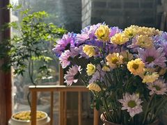 -鸡鸣汤包(复地活力广场店)
