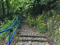 -磐安舞龙峡景区