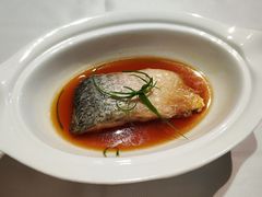 鲥鱼-广舟(千禧店)