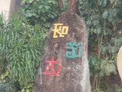 -呀诺达热带雨林