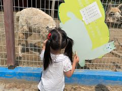 -武汉紫薇都市田园