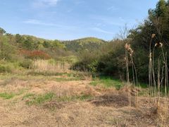 -南京市无想山景区