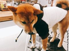 -NOTBAD 须时·咖啡馆