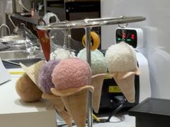 -野人先生现做冰淇淋(贵阳万象汇店)