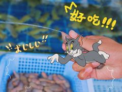 -常家活海鲜小吃(仅一家无分店)
