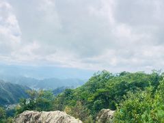 -王顺山国家森林公园