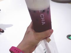 -LELECHA乐乐茶(上海五角场万达广场店)