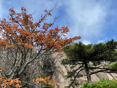 -黄山玉屏楼宾馆餐厅