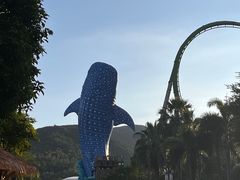 -珠海长隆海洋王国