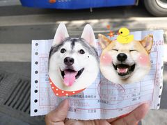 -十三行国医馆